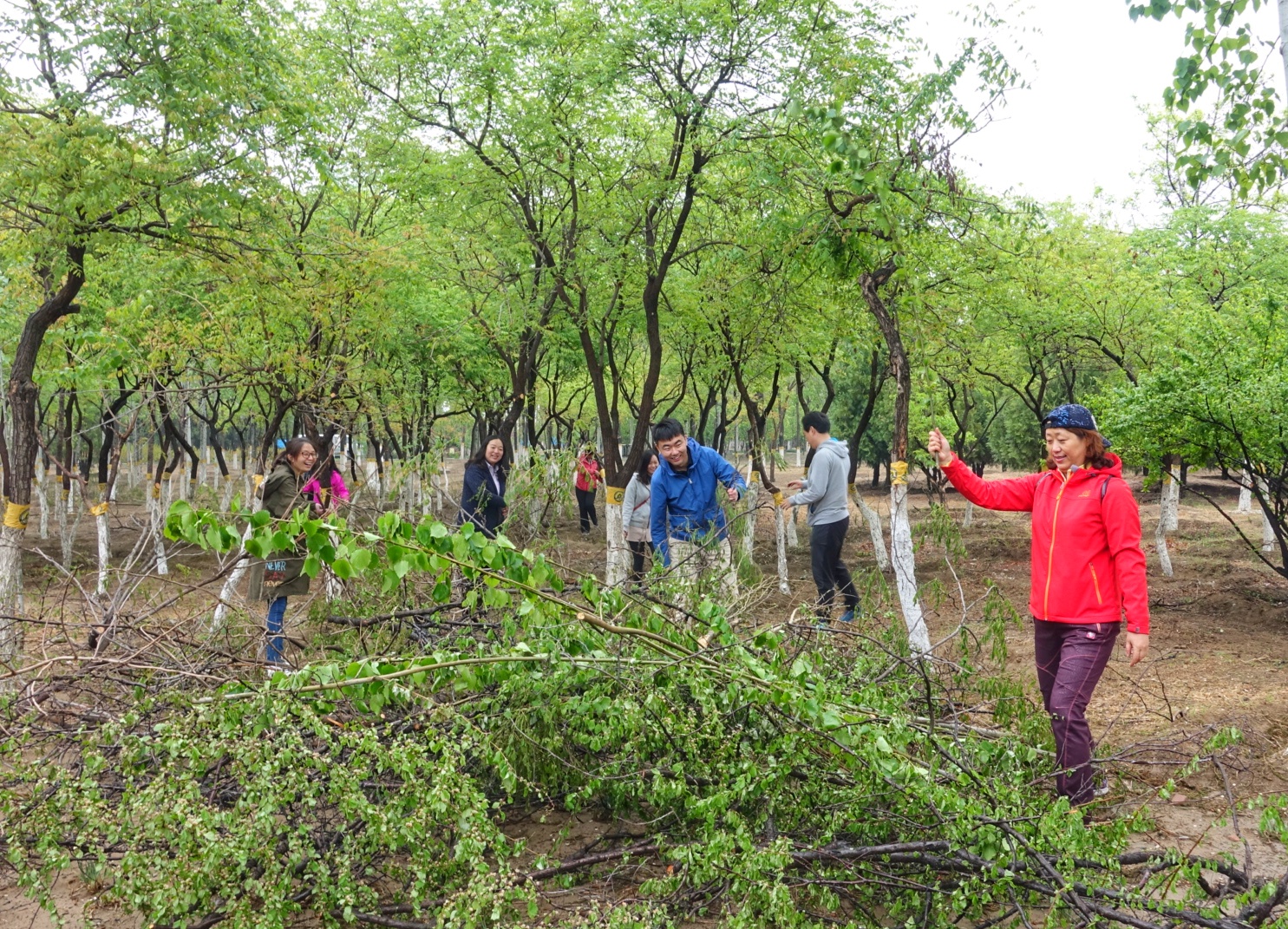 万利国际(中国区)有限公司官网